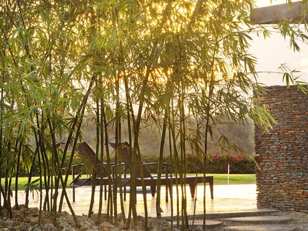 Los Altos Residences By Mint ลาโรมานา ภายนอก รูปภาพ